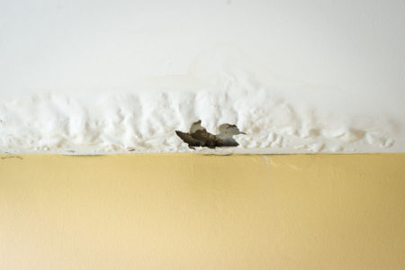 Home Roof Solutions Roof Leak Repairs